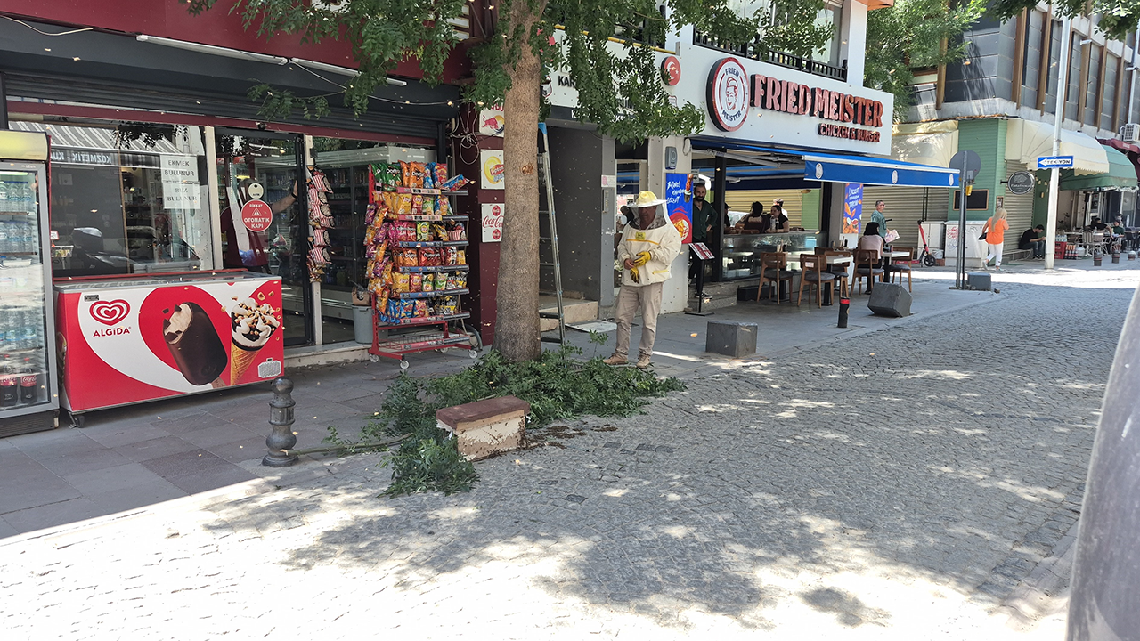 arılara müdahale edildi