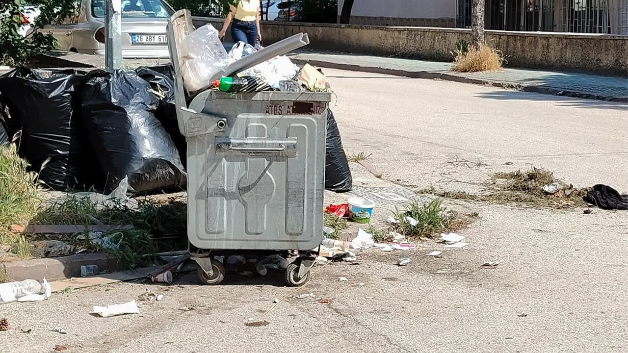 Toplanmayan Çöpler Çevre Kirliliğine Neden Oluyor