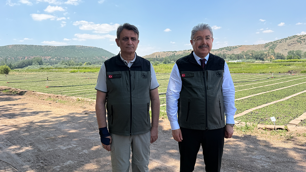 Vali Yılmaz Fidanlıktaki Çalışmaları Yerinde Inceledi