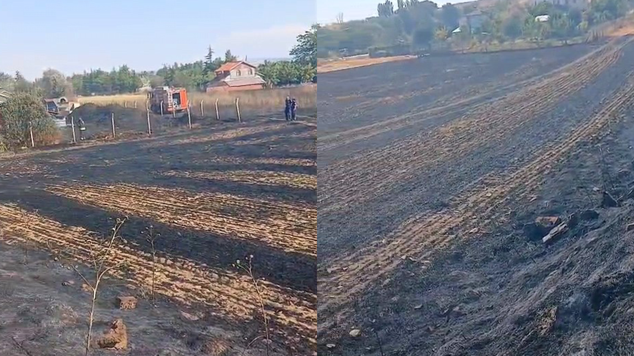 Bahçenin Büyük Bölümü Küle Döndü