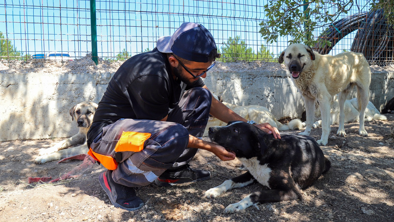 Doğal Yaşam Alanı’nın 3. Etabını Hizmete Açıldı