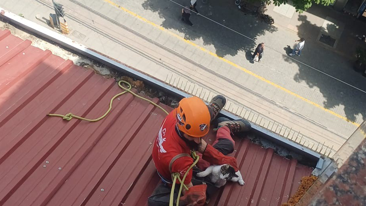 Eskişehir'de Dak Ekiplerinden Minik Kedi İçin Zorlu Kurtarma
