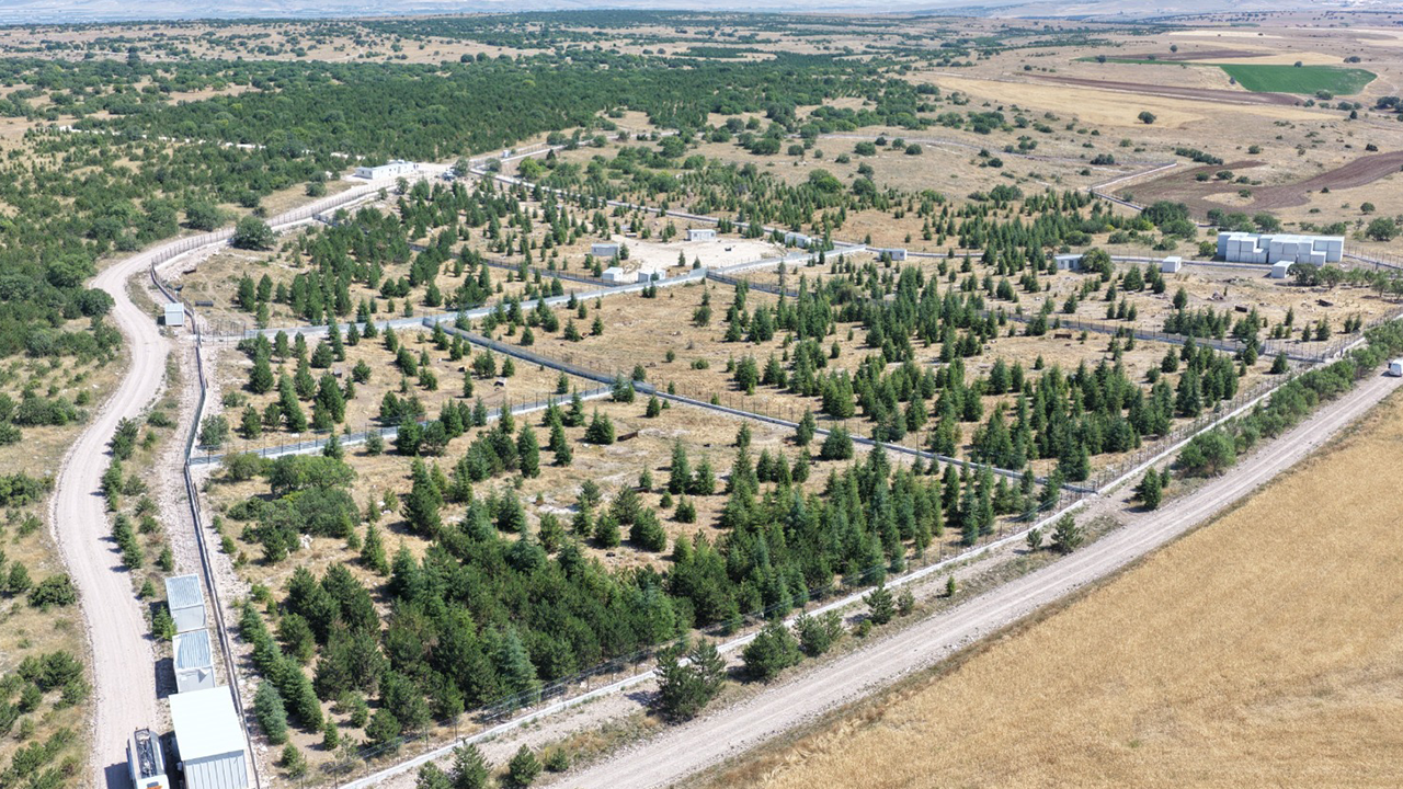 Kiravdan'da Sahi̇psi̇z Hayvanlar