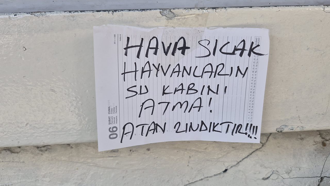 Su Kabını Atma! Atan Zındıktır!