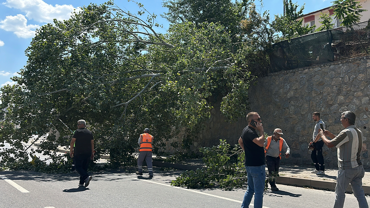 Yolun Bir Bölümü Trafiğe Kapandı