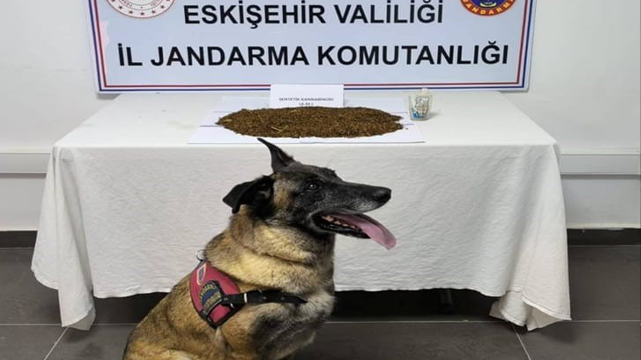 361 Gram Narkotik Madde Ele Geçirildi