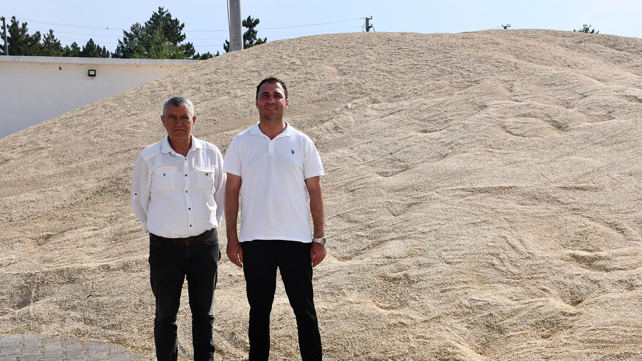 Bu Yıl 569 Ton Buğday Üretimi Gerçekleştirildi