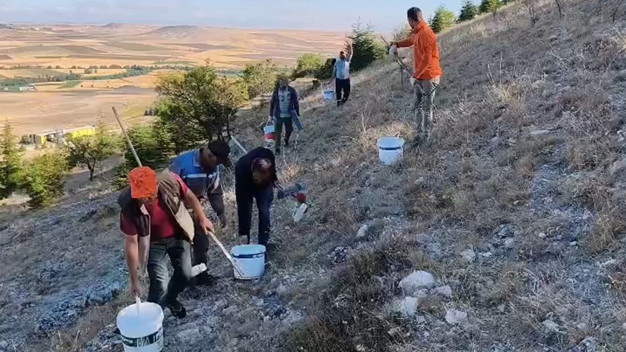 Seyitgazi Avcılar Derneği'nden Anlamlı Çalışma
