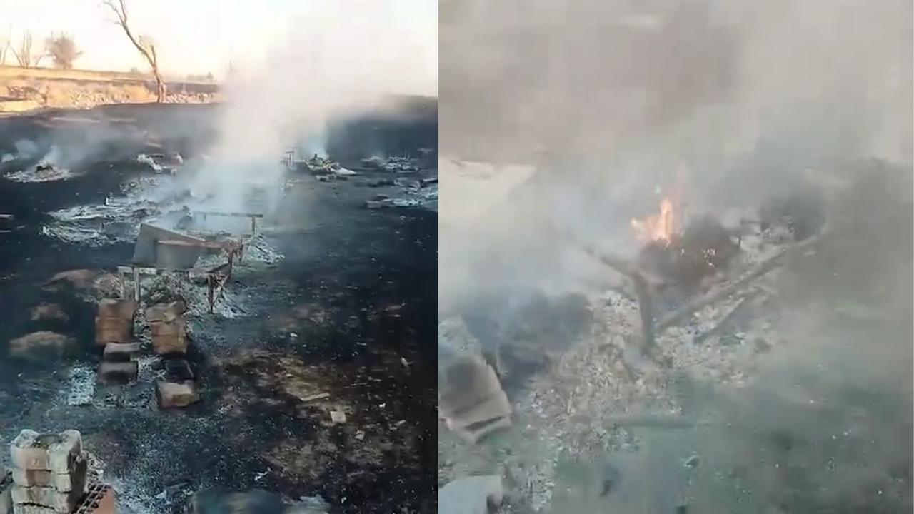 Yanginda Arilarin Tamami Telef Oldu