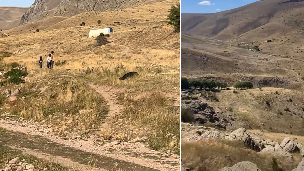 Aramalar Karadan Ve Havadan Sürüyor