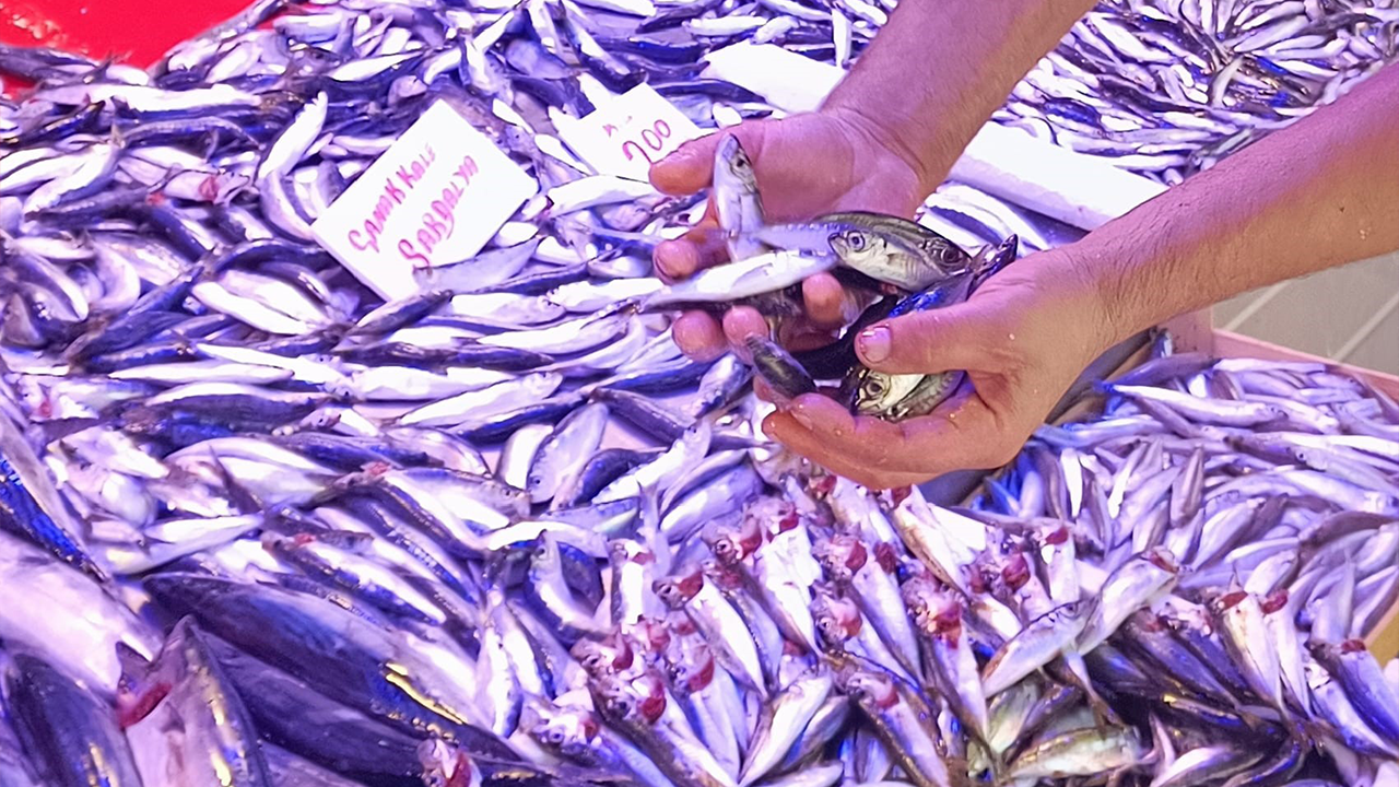 Balık Sezonu Ucuzlukla Başladı