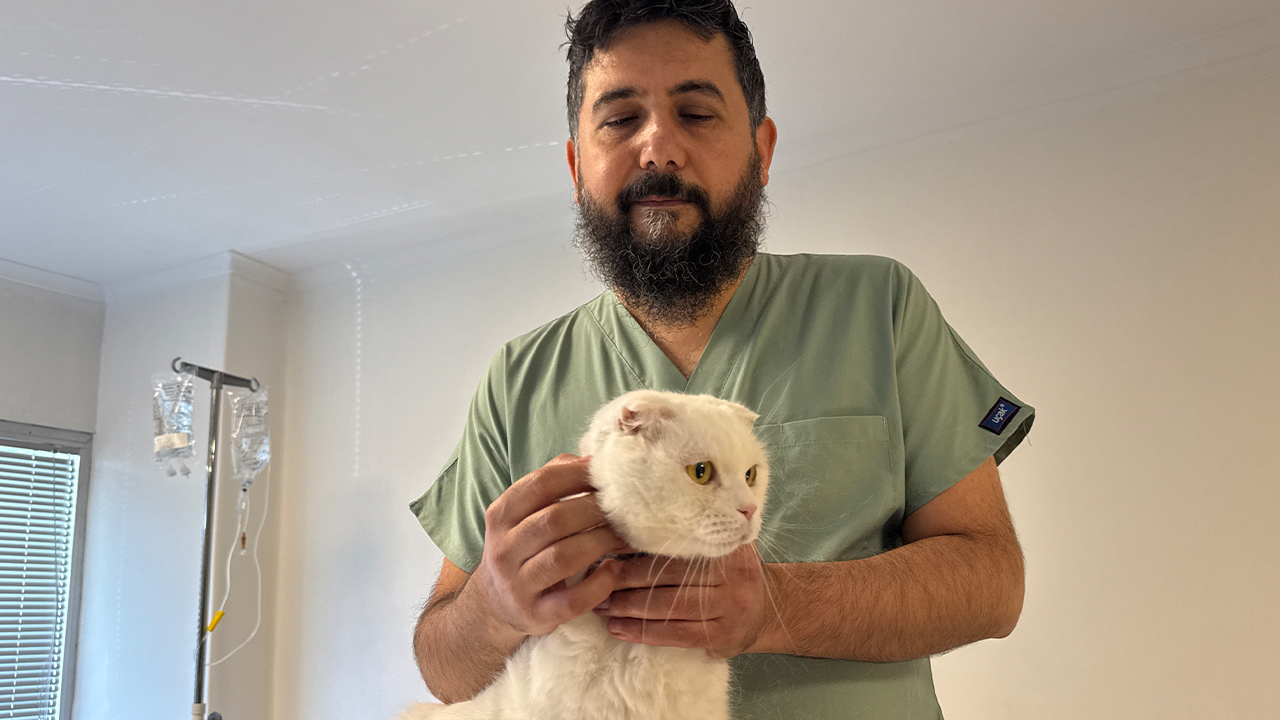 Veteriner HEKİM Sayın