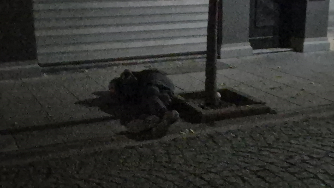 Sokak Ortasında Aniden Yere Yığıldı
