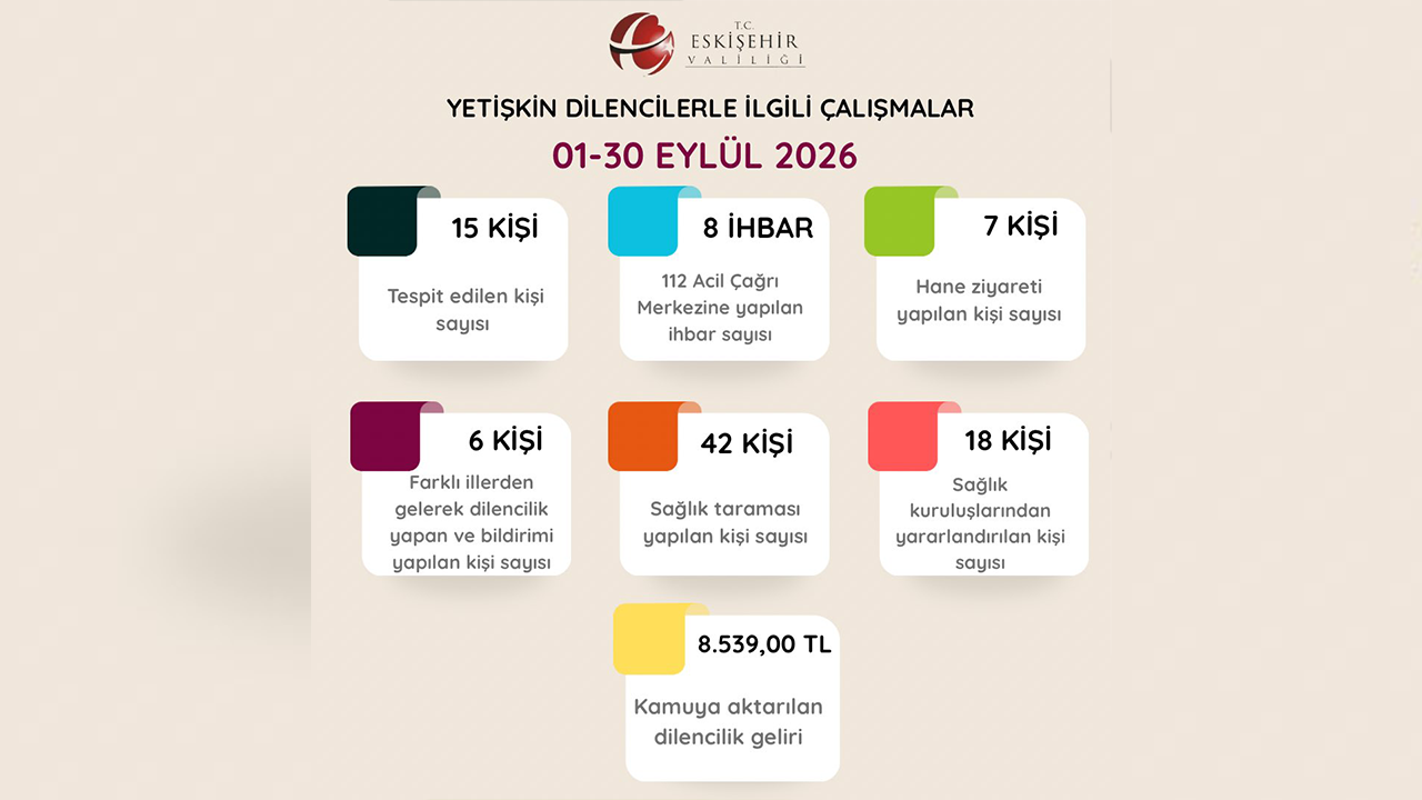 Yetişkin Dilencilerle Ilgili Çalışmalar